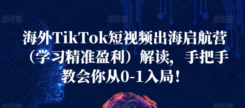 海外TikTok短视频出海启航营(学习精准盈利)解读,手把手教会你从0-1入局!插图 海外TikTok短视频出海启航营(学习精准盈利)解读,手把手教会你从0-1入局!插图