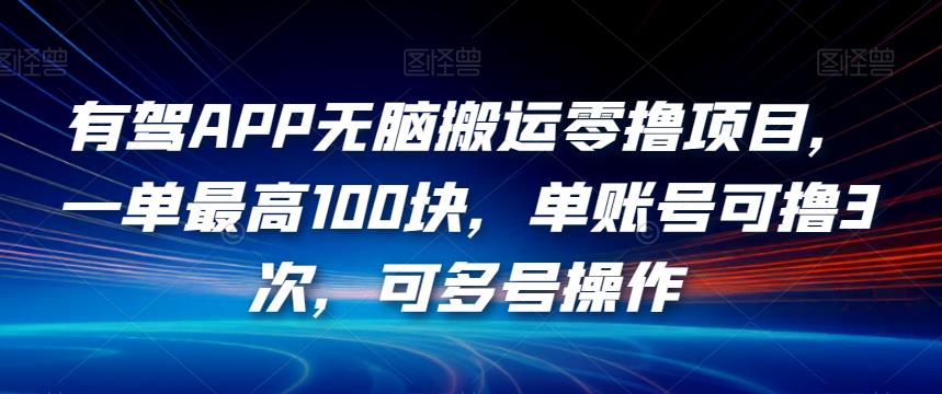 有驾APP无脑搬运零撸项目，一单最高100块，单账号可撸3次，可多号操作【揭秘】插图