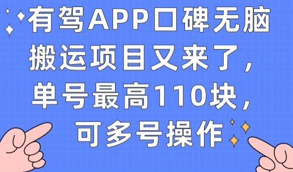 有驾APP口碑无脑搬运项目又来了，单号最高110块，可多号操作插图