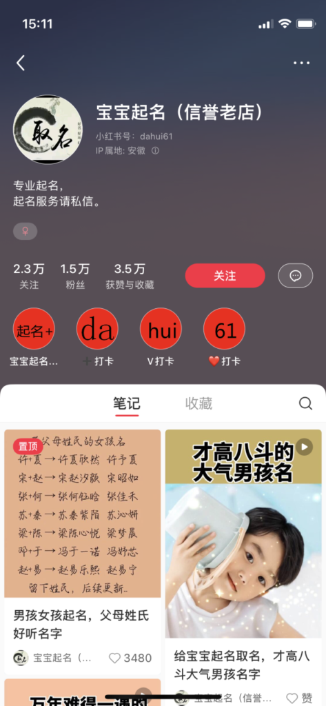小红书宝宝起名,小众暴利的副业项目-创业项目致富网、狼哥项目资源库