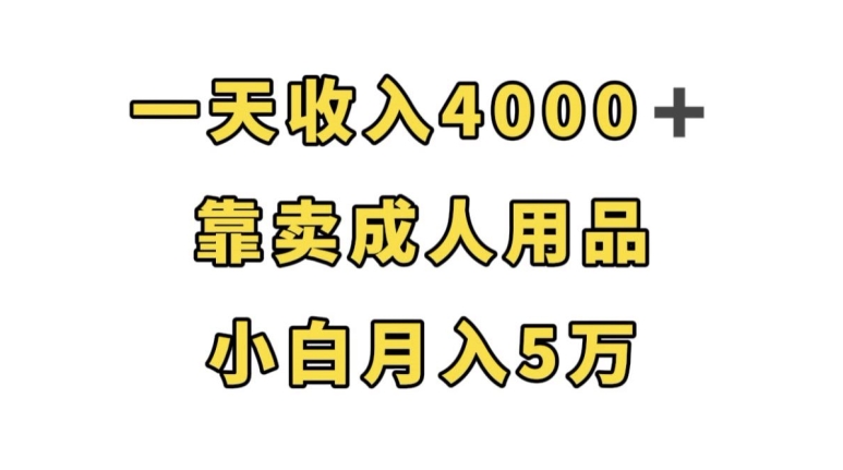 靠卖成人用品，一天收入4000+，小白轻松月入5万【揭秘】插图
