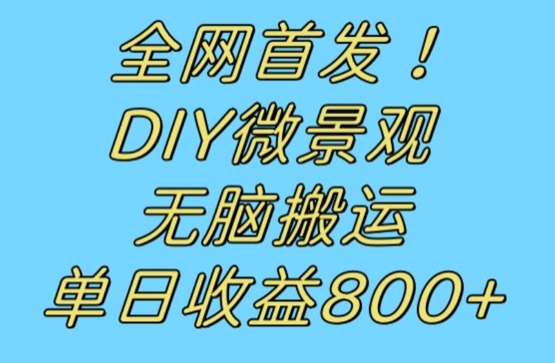 全网首发冷门赛道!DIY微景观,无脑搬运视频,日收益800+【揭秘】插图 全网首发冷门赛道!DIY微景观,无脑搬运视频,日收益800+【揭秘】插图