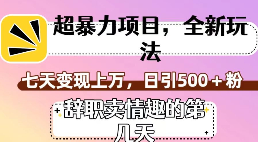 超暴利项目,全新玩法(辞职卖情趣的第几天),七天变现上万,日引500+粉【揭秘】插图 超暴利项目,全新玩法(辞职卖情趣的第几天),七天变现上万,日引500+粉【揭秘】插图