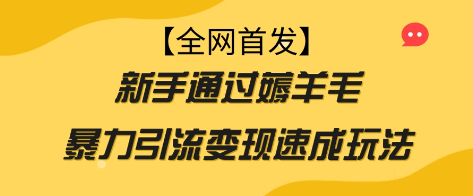 【全网首发】新手通过薅羊毛暴力引流变现速成玩法插图
