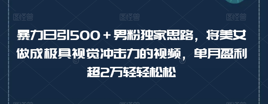 暴力日引500+男粉独家思路,将美女做成极具视觉冲击力的视频,单月盈利超2万轻轻松松插图 暴力日引500+男粉独家思路,将美女做成极具视觉冲击力的视频,单月盈利超2万轻轻松松插图