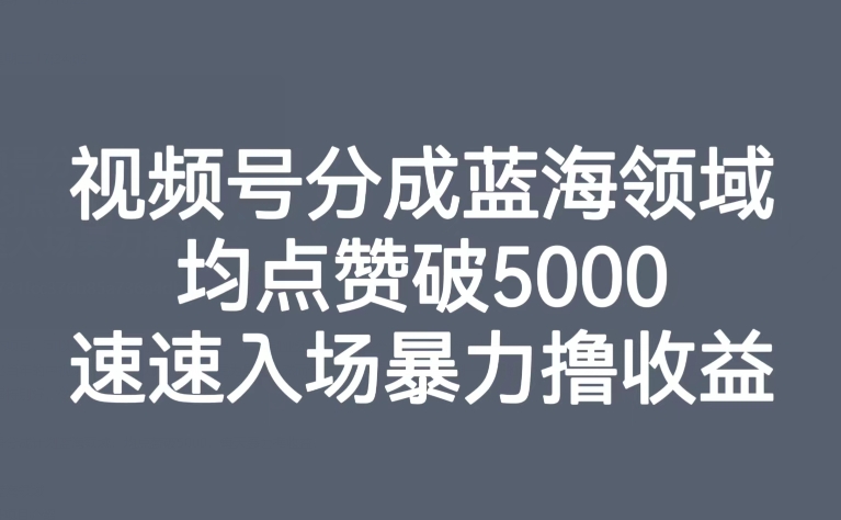 视频号分成蓝海领域,均点赞破5000,速速入场暴力撸收益插图 视频号分成蓝海领域,均点赞破5000,速速入场暴力撸收益插图