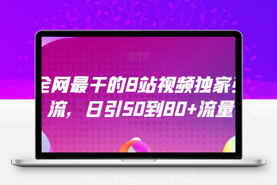 全网最干的B站视频独家引流，日引50到80+流量【揭秘】-创业项目致富网、狼哥项目资源库