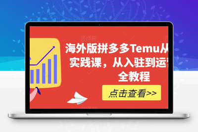 海外版拼多多Temu从零到一实践课，从入驻到运营的最全教程-狼哥资源库