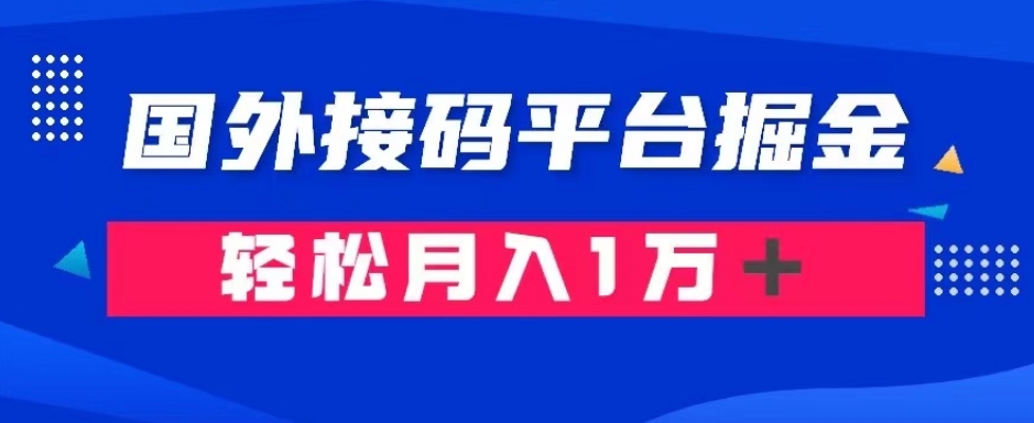 通过国外接码平台掘金：成本1.3，利润10＋，轻松月入1万＋【揭秘】插图