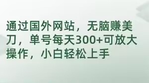 通过国外网站，无脑赚美刀，单号每天300+可放大操作，小白轻松上手【揭秘】-创业项目致富网、狼哥项目资源库