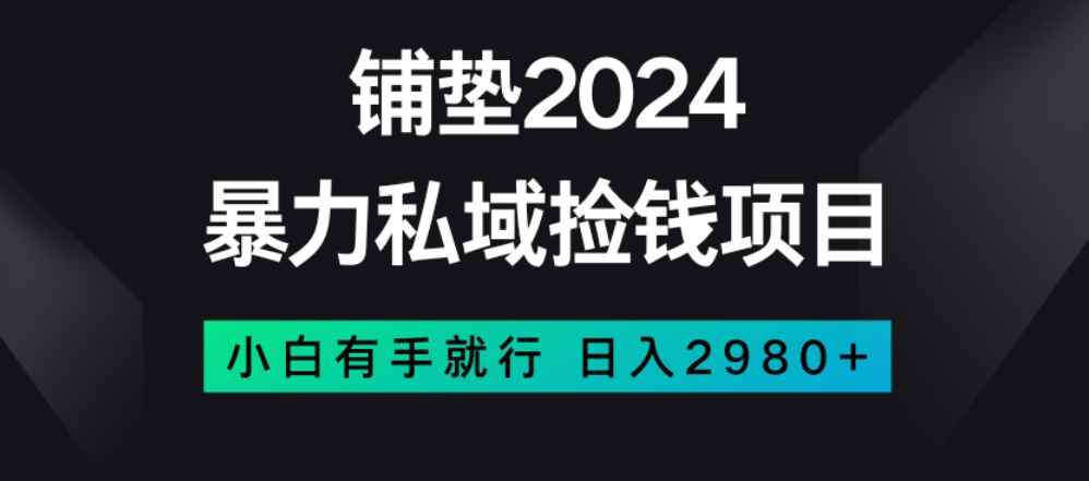 暴力私域捡钱项目，小白无脑操作，日入2980【揭秘】-创业项目致富网、狼哥项目资源库