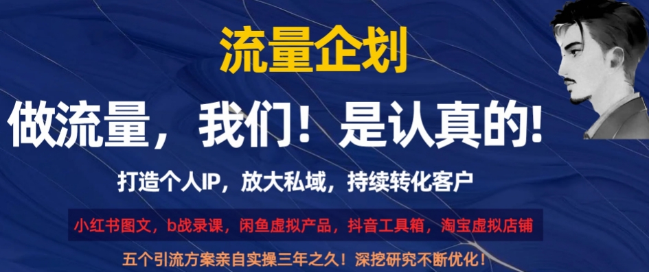 流量企划，打造个人IP，放大私域，持续转化客户【揭秘】-创业项目致富网、狼哥项目资源库