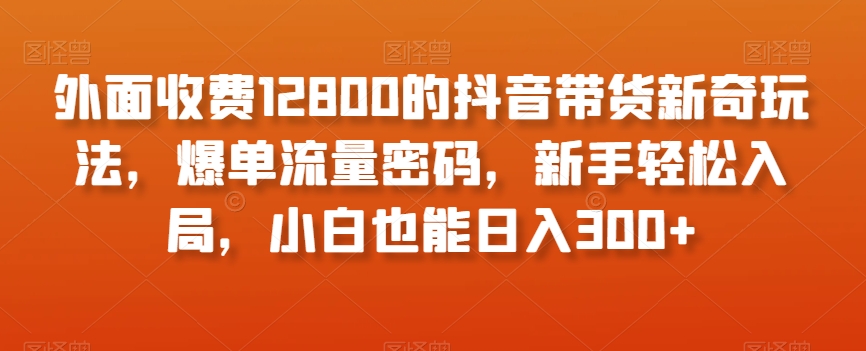外面收费12800的抖音带货新奇玩法，爆单流量密码，新手轻松入局，小白也能日入300+【揭秘】-创业项目致富网、狼哥项目资源库