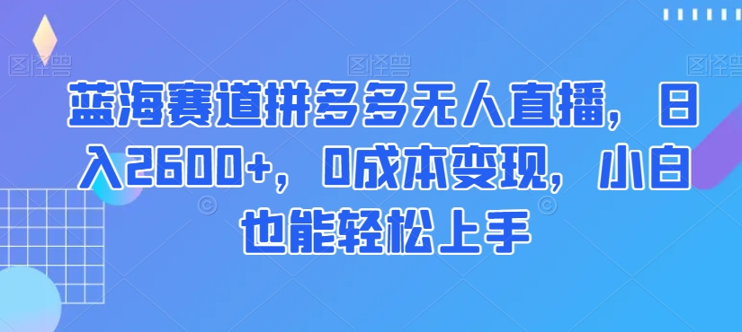 蓝海赛道拼多多无人直播，日入2600+，0成本变现，小白也能轻松上手【揭秘】-创业项目致富网、狼哥项目资源库