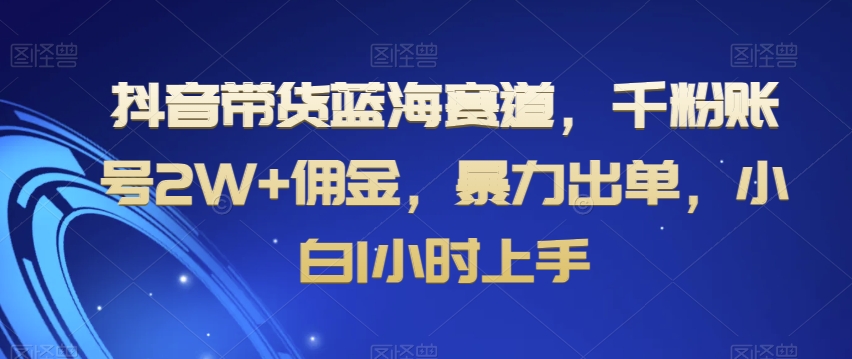 抖音带货蓝海赛道，千粉账号2W+佣金，暴力出单，小白1小时上手【揭秘】-创业项目致富网、狼哥项目资源库