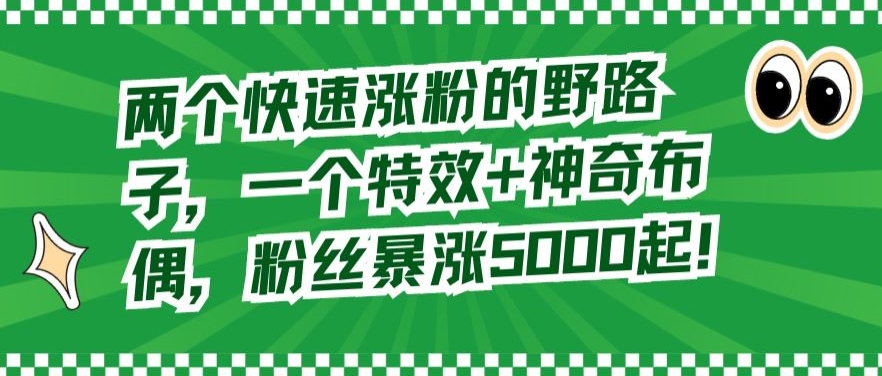 两个快速涨粉的野路子，一个特效+神奇布偶，粉丝暴涨5000起【揭秘】-创业项目致富网、狼哥项目资源库