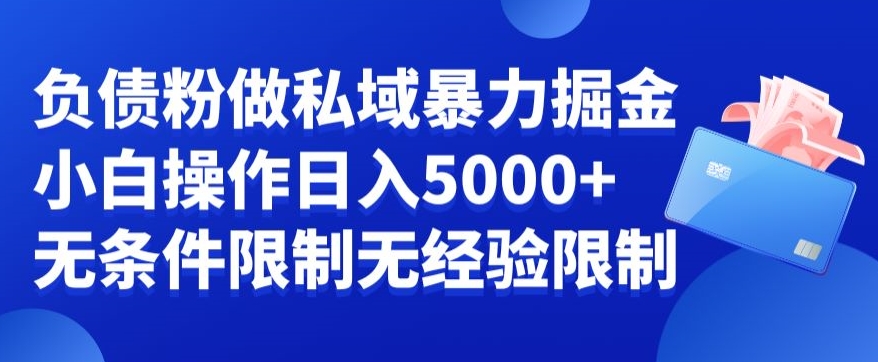 负债粉私域暴力掘金，小白操作入5000，无经验限制，无条件限制【揭秘】-创业项目致富网、狼哥项目资源库