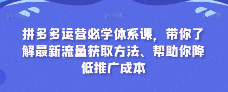 拼多多运营必学体系课，带你了解最新流量获取方法、帮助你降低推广成本-创业项目致富网、狼哥项目资源库