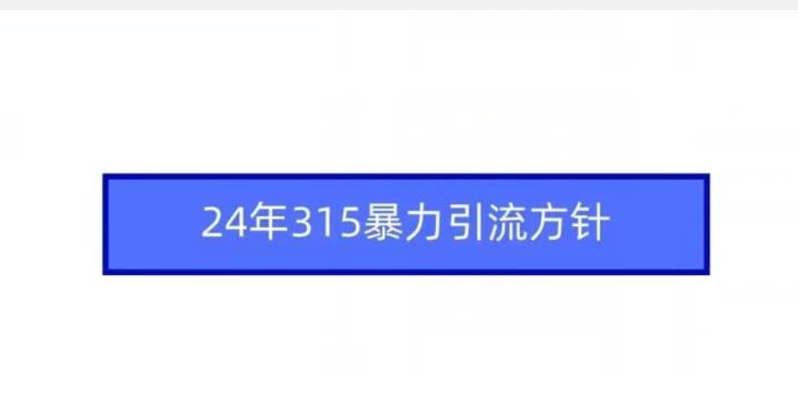 24年315暴力引流方针-创业项目致富网、狼哥项目资源库