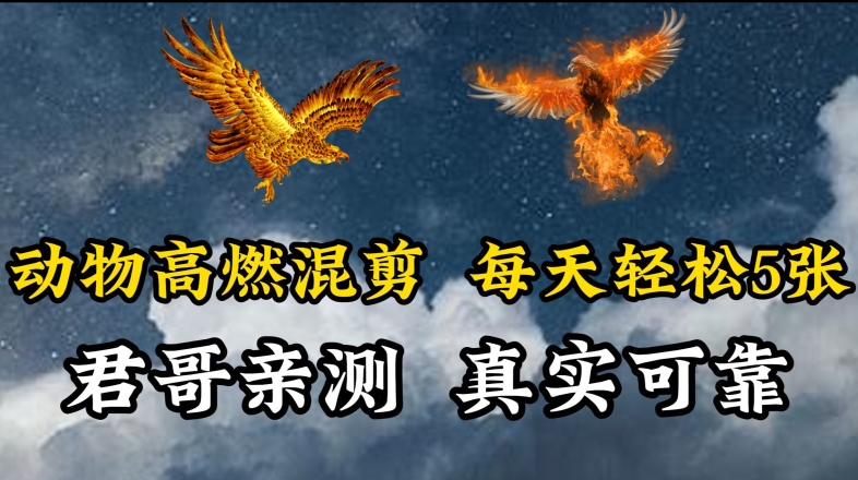 动物超燃混剪，每天轻松5张，剪辑简单大家爱看【揭秘】-创业项目致富网、狼哥项目资源库