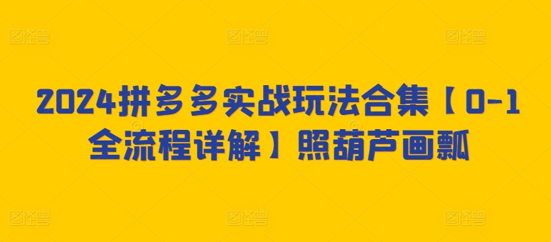 2024拼多多实战玩法合集【0-1全流程详解】照葫芦画瓢-创业项目致富网、狼哥项目资源库