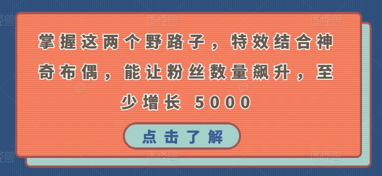 掌握这两个野路子，特效结合神奇布偶，能让粉丝数量飙升，至少增长 5000【揭秘】-创业项目致富网、狼哥项目资源库