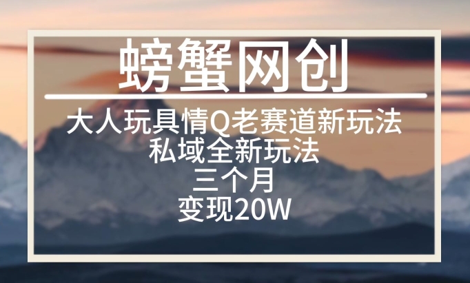 大人玩具情Q用品赛道私域全新玩法，三个月变现20W，老项目新思路【揭秘】-创业项目致富网、狼哥项目资源库