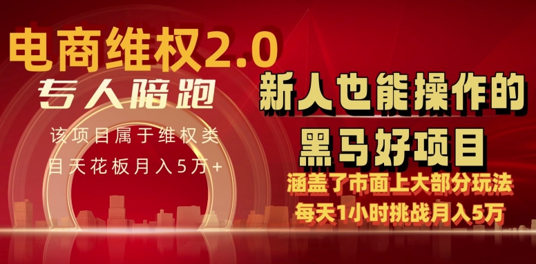 电商维权 4.0 如何做到月入 5 万+每天 1 小时新人也能快速上手【仅揭秘】-创业项目致富网、狼哥项目资源库