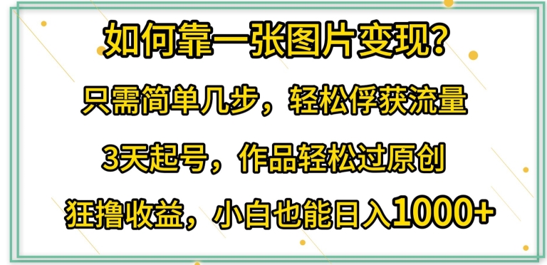 如何靠一张图片变现?只需简单几步，轻松俘获流量，3天起号，作品轻松过原创【揭秘】-创业项目致富网、狼哥项目资源库