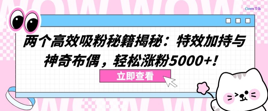两个高效吸粉秘籍揭秘：特效加持与神奇布偶，轻松涨粉5000+【揭秘】-创业项目致富网、狼哥项目资源库