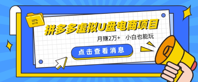 拼多多虚拟U盘电商红利项目:月赚2万+,新手小白也能玩插图 拼多多虚拟U盘电商红利项目:月赚2万+,新手小白也能玩插图