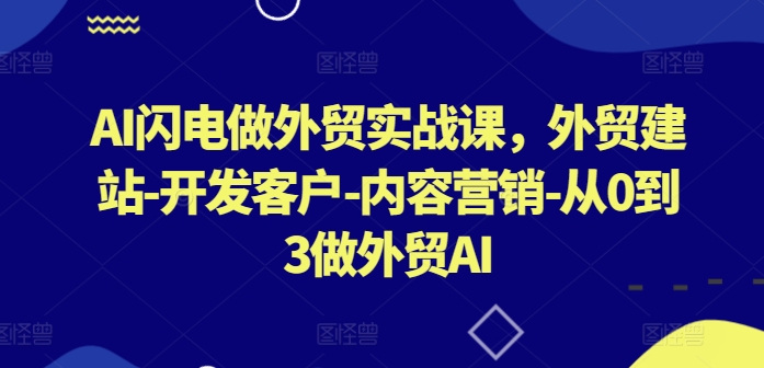AI闪电做外贸实战课，​外贸建站-开发客户-内容营销-从0到3做外贸AI-创业项目致富网、狼哥项目资源库
