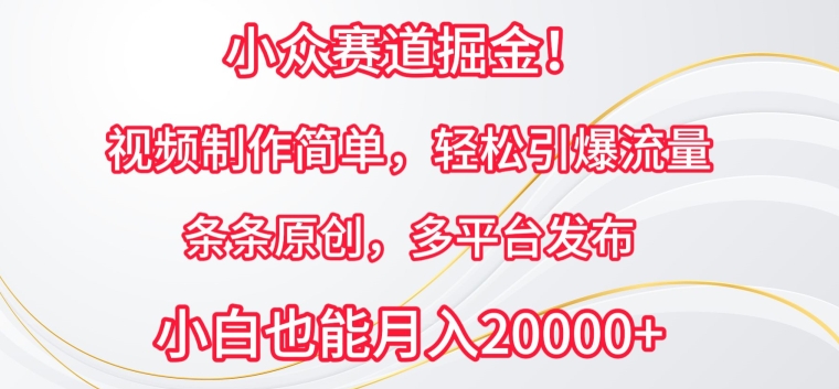 小众赛道掘金，视频制作简单，轻松引爆流量，条条原创，多平台发布【揭秘】-创业项目致富网、狼哥项目资源库
