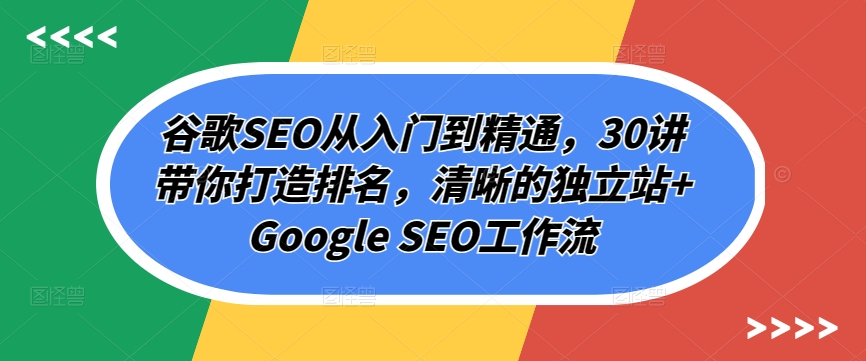 谷歌SEO从入门到精通，30讲带你打造排名，清晰的独立站+Google SEO工作流-狼哥资源库