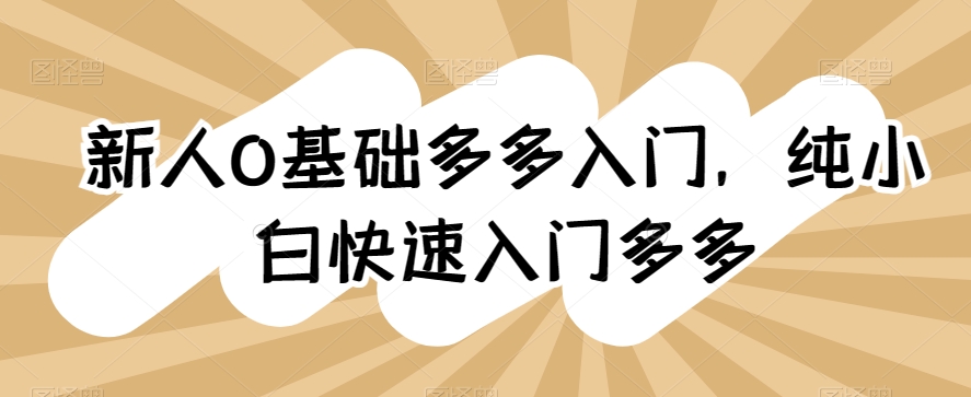 新人0基础多多入门，​纯小白快速入门多多-创业项目致富网、狼哥项目资源库