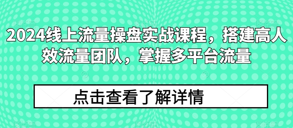2024线上流量操盘实战课程，搭建高人效流量团队，掌握多平台流量-创业项目致富网、狼哥项目资源库