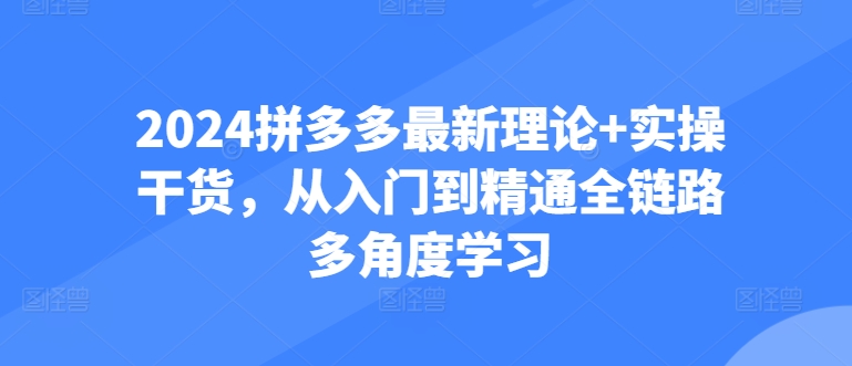2024拼多多最新理论+实操干货，从入门到精通全链路多角度学习-创业项目致富网、狼哥项目资源库