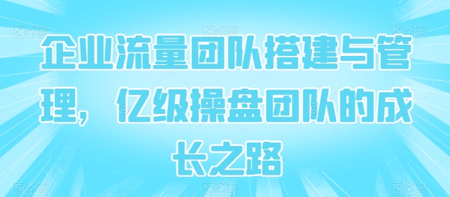 企业流量团队搭建与管理，亿级操盘团队的成长之路-创业项目致富网、狼哥项目资源库