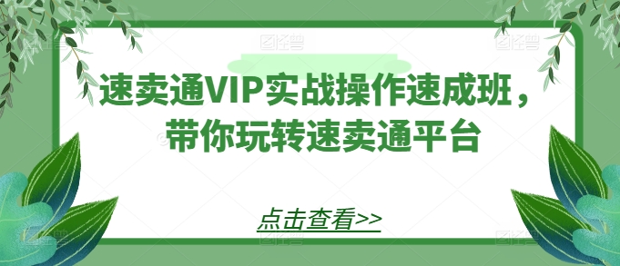 速卖通VIP实战操作速成班，带你玩转速卖通平台-创业项目致富网、狼哥项目资源库
