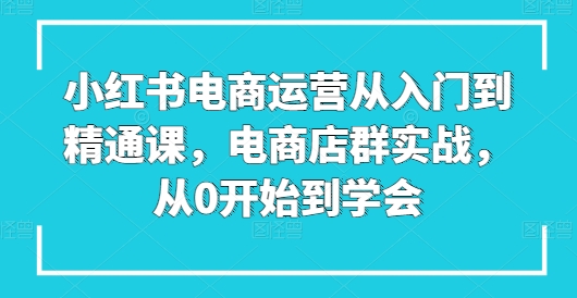 小红书电商运营从入门到精通课，电商店群实战，从0开始到学会-创业项目致富网、狼哥项目资源库