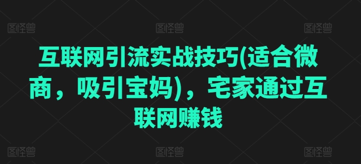 互联网引流实战技巧(适合微商，吸引宝妈)，宅家通过互联网赚钱-创业项目致富网、狼哥项目资源库