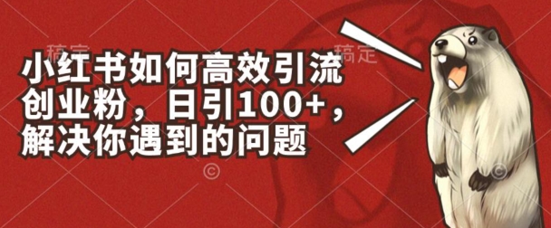 小红书如何高效引流创业粉，日引100+，解决你遇到的问题【揭秘】-创业项目致富网、狼哥项目资源库