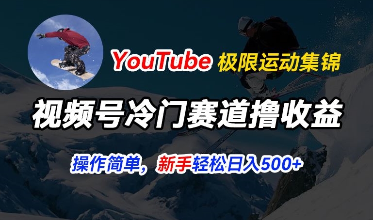 视频号冷门赛道撸收益，YouTube搬运极限运动集锦，暴力起号，操作简单流量高，轻松日入5张【揭秘】-创业项目致富网、狼哥项目资源库