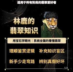 林鹿的翡翠知识，​用宝石眼光，系统全面的看懂翡翠-创业项目致富网、狼哥项目资源库