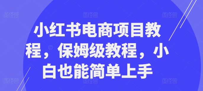 小红书电商项目教程，保姆级教程，小白也能简单上手-创业项目致富网、狼哥项目资源库
