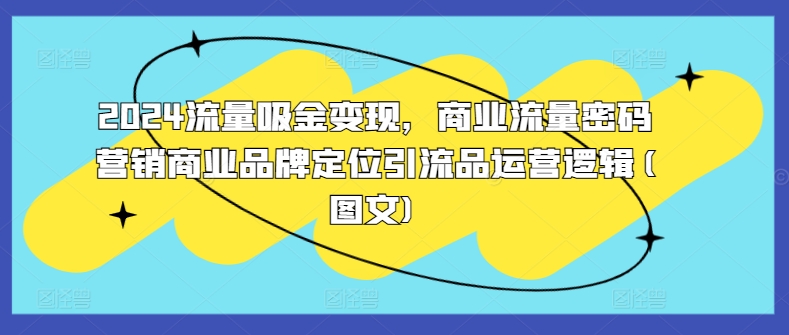 2024流量吸金变现，商业流量密码营销商业品牌定位引流品运营逻辑(图文)-创业项目致富网、狼哥项目资源库