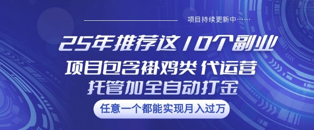 25年推荐这10个副业项目包含褂鸡类、代运营托管类、全自动打金类【揭秘】-创业项目致富网、狼哥项目资源库