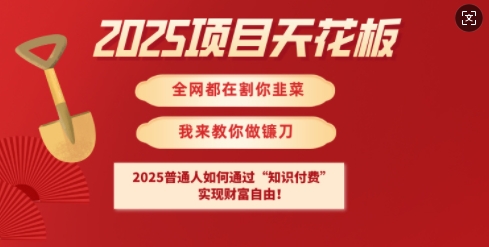 2025项目天花板普通人如何通过知识付费，实现财F自由【揭秘】-创业项目致富网、狼哥项目资源库
