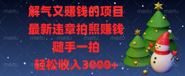 解气又挣钱的项目，最新违章拍照挣钱，随手一拍，轻松收入数张【揭秘】-创业项目致富网、狼哥项目资源库