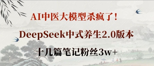 AI中医大模型杀疯了！DeepSeek中式养生2.0版本，十几篇笔记粉丝3w+-创业项目致富网、狼哥项目资源库